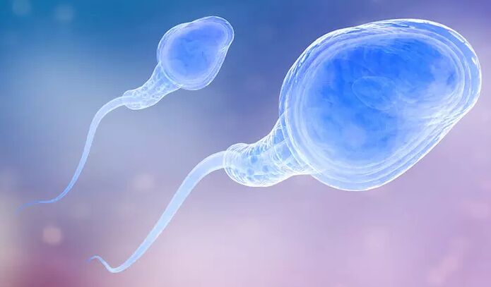 Spermatozoa tiasa aya dina pra-éjakulasi lalaki