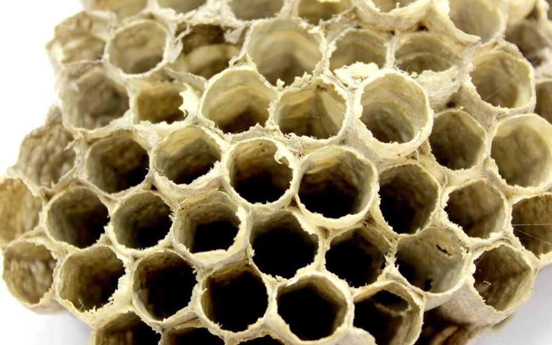lem lebah pikeun ngaronjatkeun potency